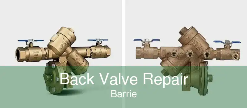 Back Valve Repair Barrie