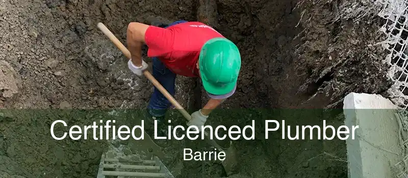Certified Licenced Plumber Barrie