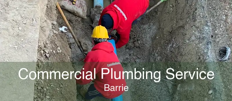 Commercial Plumbing Service Barrie