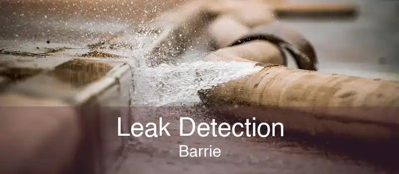 Leak Detection Barrie