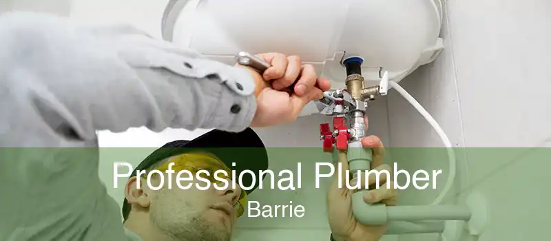 Professional Plumber Barrie