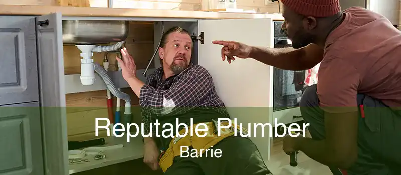 Reputable Plumber Barrie