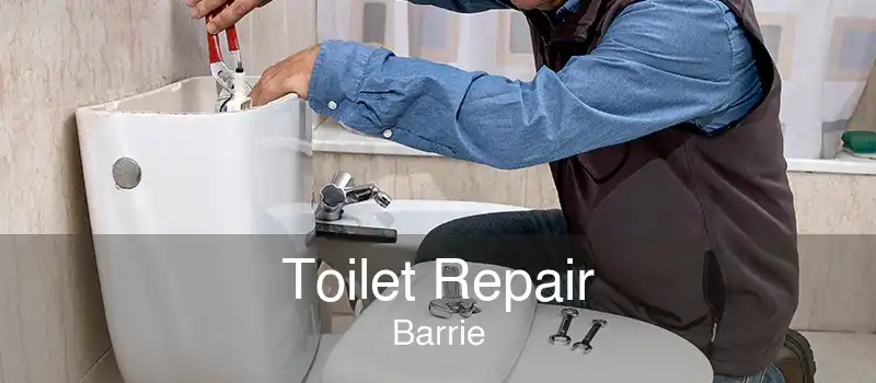 Toilet Repair Barrie