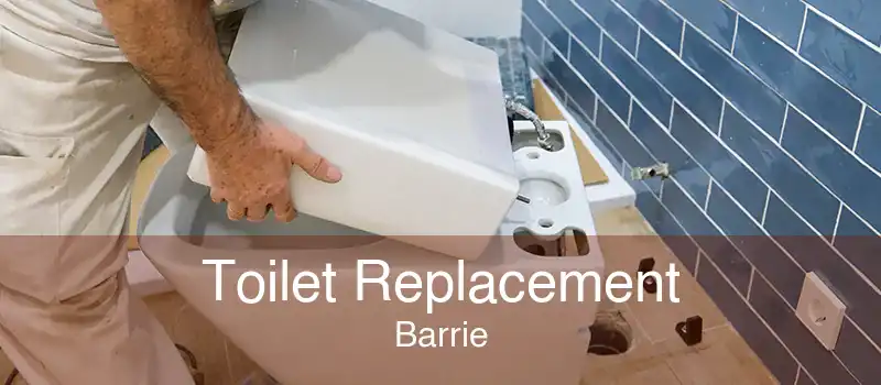 Toilet Replacement Barrie