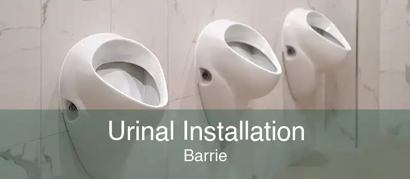 Urinal Installation Barrie