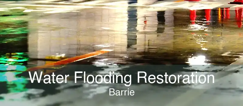 Water Flooding Restoration Barrie