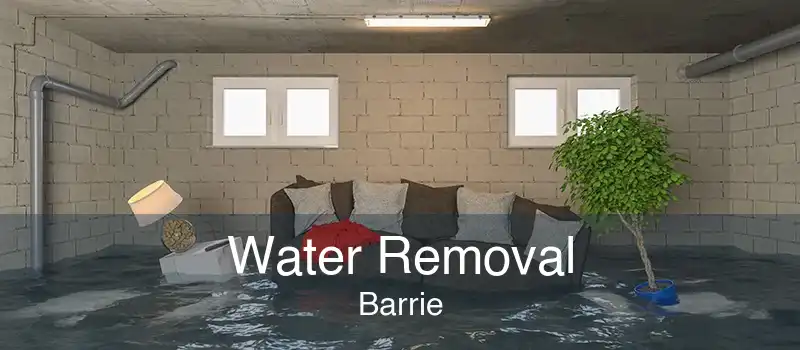 Water Removal Barrie