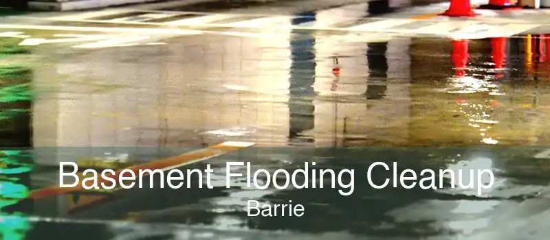 Basement Flooding Cleanup Barrie