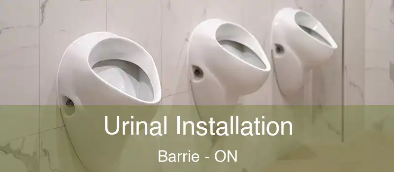  Urinal Installation Barrie - ON