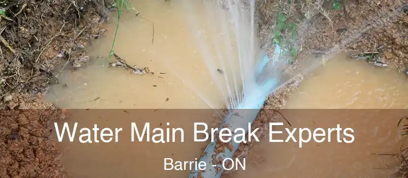  Water Main Break Experts Barrie - ON